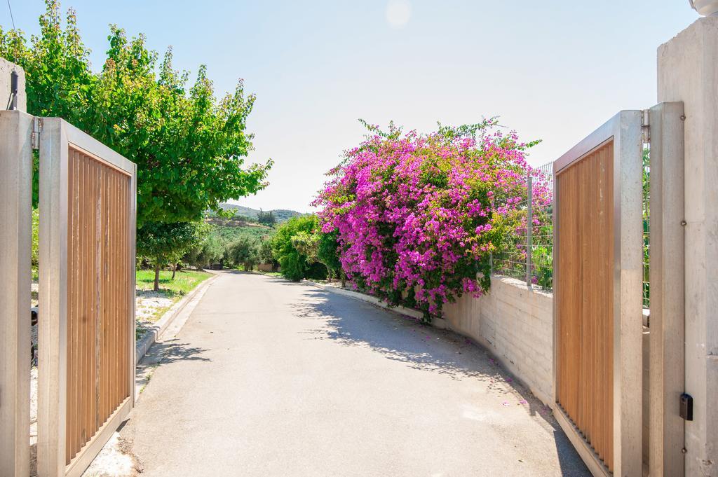 Villa Prigipessa Agia Marina  ภายนอก รูปภาพ