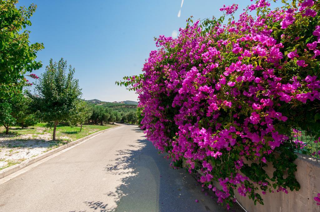 Villa Prigipessa Agia Marina  ภายนอก รูปภาพ